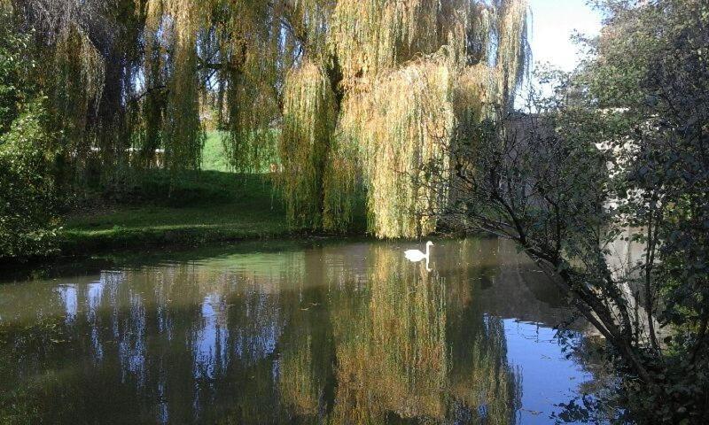 Le Clos Des Cygnes Charolles Exterior foto